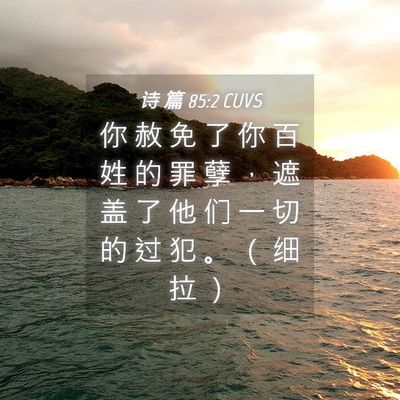 Picture 04 - 诗 篇 85:2 CUVS - 你 赦 免 了 你 百 姓 的 罪 孽 ， 遮 - Bible Verse Picture
