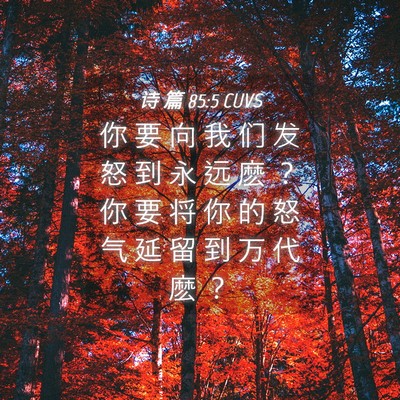 Picture 04 - 诗 篇 85:5 CUVS - 你 要 向 我 们 发 怒 到 永 远 麽 ？ - Bible Verse Picture