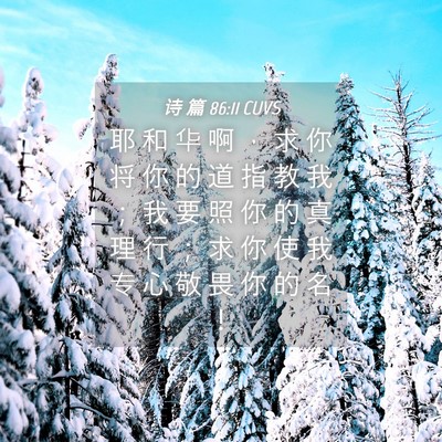 Picture 04 - 诗 篇 86:11 CUVS - 耶 和 华 啊 ， 求 你 将 你 的 道 指 - Bible Verse Picture