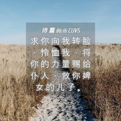 Picture 04 - 诗 篇 86:16 CUVS - 求 你 向 我 转 脸 ， 怜 恤 我 ， 将 - Bible Verse Picture