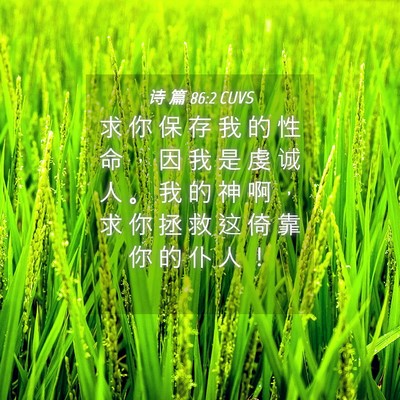 Picture 04 - 诗 篇 86:2 CUVS - 求 你 保 存 我 的 性 命 ， 因 我 是 - Bible Verse Picture