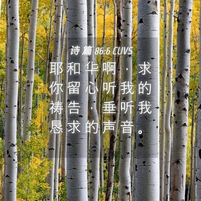 Picture 04 - 诗 篇 86:6 CUVS - 耶 和 华 啊 ， 求 你 留 心 听 我 的 - Bible Verse Picture