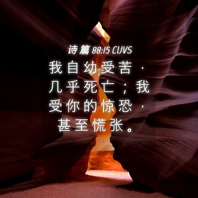 Picture 04 - 诗 篇 88:15 CUVS - 我 自 幼 受 苦 ， 几 乎 死 亡 ； 我 - Bible Verse Picture
