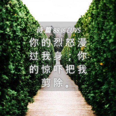 Picture 04 - 诗 篇 88:16 CUVS - 你 的 烈 怒 漫 过 我 身 ； 你 的 惊 - Bible Verse Picture