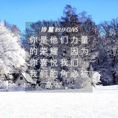 Picture 04 - 诗 篇 89:17 CUVS - 你 是 他 们 力 量 的 荣 耀 ； 因 为 - Bible Verse Picture