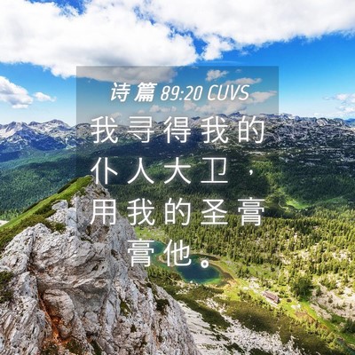Picture 04 - 诗 篇 89:20 CUVS - 我 寻 得 我 的 仆 人 大 卫 ， 用 我 - Bible Verse Picture