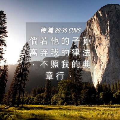 Picture 04 - 诗 篇 89:30 CUVS - 倘 若 他 的 子 孙 离 弃 我 的 律 法 - Bible Verse Picture