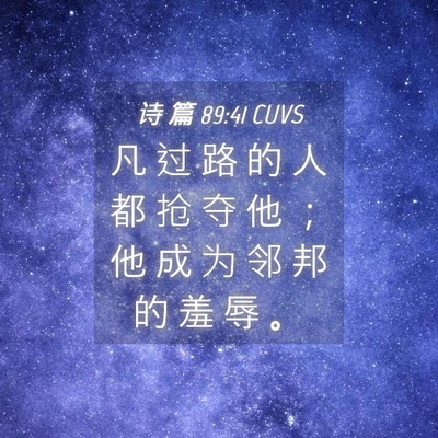 Picture 04 - 诗 篇 89:41 CUVS - 凡 过 路 的 人 都 抢 夺 他 ； 他 成 - Bible Verse Picture