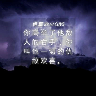Picture 04 - 诗 篇 89:42 CUVS - 你 高 举 了 他 敌 人 的 右 手 ； 你 - Bible Verse Picture