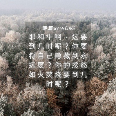 Picture 04 - 诗 篇 89:46 CUVS - 耶 和 华 啊 ， 这 要 到 几 时 呢 ？ - Bible Verse Picture