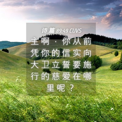 Picture 04 - 诗 篇 89:49 CUVS - 主 啊 ， 你 从 前 凭 你 的 信 实 向 - Bible Verse Picture