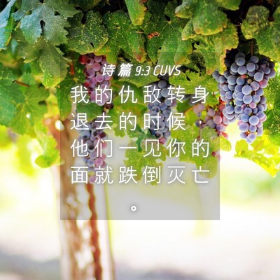 Picture 04 - 诗 篇 9:3 CUVS - 我 的 仇 敌 转 身 退 去 的 时 候 ， - Bible Verse Picture
