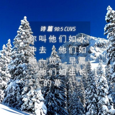 Picture 04 - 诗 篇 90:5 CUVS - 你 叫 他 们 如 水 冲 去 ； 他 们 如 - Bible Verse Picture