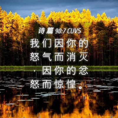 Picture 04 - 诗 篇 90:7 CUVS - 我 们 因 你 的 怒 气 而 消 灭 ， 因 - Bible Verse Picture