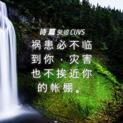 Picture 04 - 诗 篇 91:10 CUVS - 祸 患 必 不 临 到 你 ， 灾 害 也 不 - Bible Verse Picture