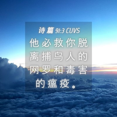 Picture 04 - 诗 篇 91:3 CUVS - 他 必 救 你 脱 离 捕 鸟 人 的 网 罗 - Bible Verse Picture