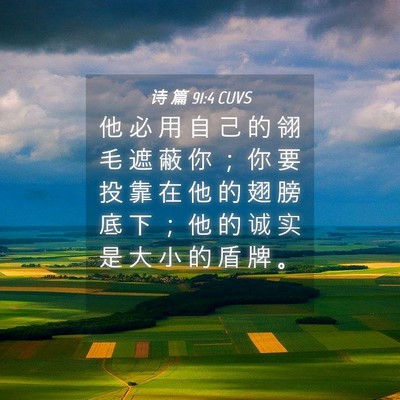 Picture 04 - 诗 篇 91:4 CUVS - 他 必 用 自 己 的 翎 毛 遮 蔽 你 ； - Bible Verse Picture