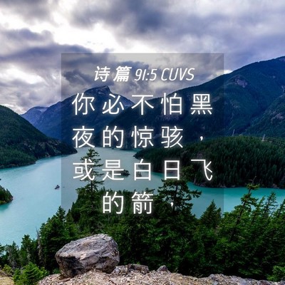 Picture 04 - 诗 篇 91:5 CUVS - 你 必 不 怕 黑 夜 的 惊 骇 ， 或 是 - Bible Verse Picture