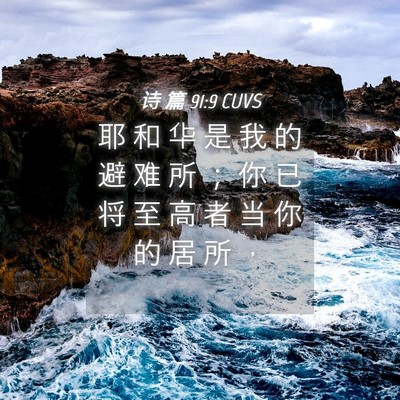 Picture 04 - 诗 篇 91:9 CUVS - 耶 和 华 是 我 的 避 难 所 ； 你 已 - Bible Verse Picture