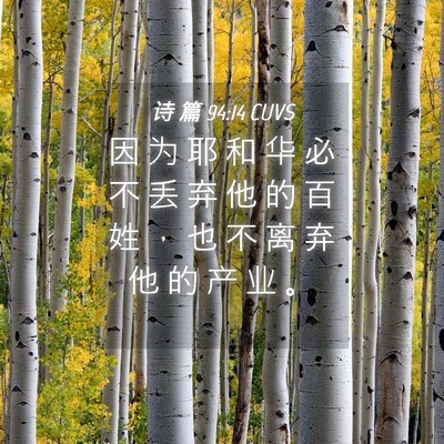 Picture 04 - 诗 篇 94:14 CUVS - 因 为 耶 和 华 必 不 丢 弃 他 的 百 - Bible Verse Picture