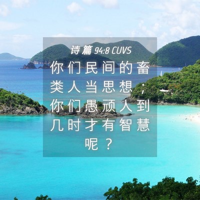 Picture 04 - 诗 篇 94:8 CUVS - 你 们 民 间 的 畜 类 人 当 思 想 ； - Bible Verse Picture