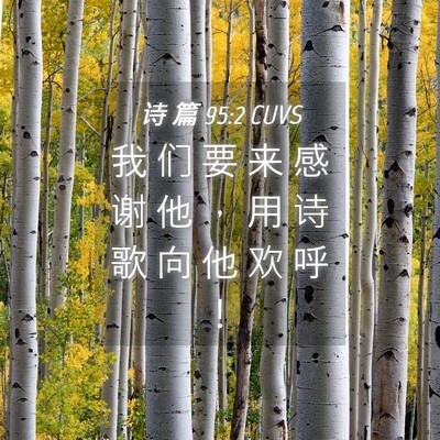 Picture 04 - 诗 篇 95:2 CUVS - 我 们 要 来 感 谢 他 ， 用 诗 歌 向 - Bible Verse Picture