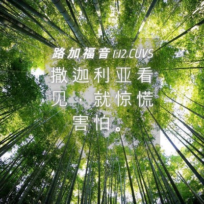 Picture 04 - 路 加 福 音 1:12 CUVS - 撒 迦 利 亚 看 见 ， 就 惊 慌 害 怕 - Bible Verse Picture
