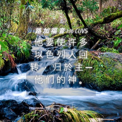 Picture 04 - 路 加 福 音 1:16 CUVS - 他 要 使 许 多 以 色 列 人 回 转 ， - Bible Verse Picture