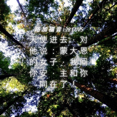 Picture 04 - 路 加 福 音 1:28 CUVS - 天 使 进 去 ， 对 他 说 ： 蒙 大 恩 - Bible Verse Picture
