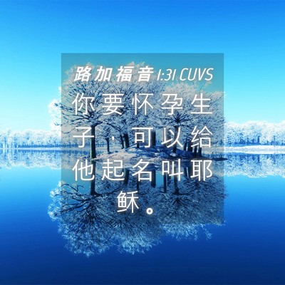 Picture 04 - 路 加 福 音 1:31 CUVS - 你 要 怀 孕 生 子 ， 可 以 给 他 起 - Bible Verse Picture