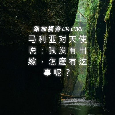 Picture 04 - 路 加 福 音 1:34 CUVS - 马 利 亚 对 天 使 说 ： 我 没 有 出 - Bible Verse Picture