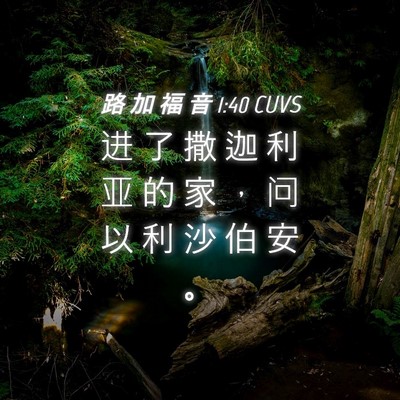 Picture 04 - 路 加 福 音 1:40 CUVS - 进 了 撒 迦 利 亚 的 家 ， 问 以 利 - Bible Verse Picture
