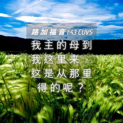 Picture 04 - 路 加 福 音 1:43 CUVS - 我 主 的 母 到 我 这 里 来 ， 这 是 - Bible Verse Picture
