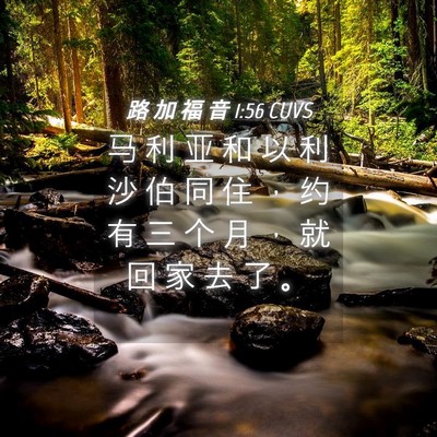 Picture 04 - 路 加 福 音 1:56 CUVS - 马 利 亚 和 以 利 沙 伯 同 住 ， 约 - Bible Verse Picture