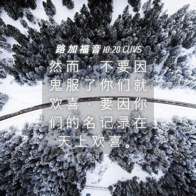 Picture 04 - 路 加 福 音 10:20 CUVS - 然 而 ， 不 要 因 鬼 服 了 你 们 就 - Bible Verse Picture