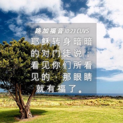 Picture 04 - 路 加 福 音 10:23 CUVS - 耶 稣 转 身 暗 暗 的 对 门 徒 说 ： - Bible Verse Picture
