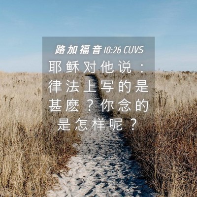 Picture 04 - 路 加 福 音 10:26 CUVS - 耶 稣 对 他 说 ： 律 法 上 写 的 是 - Bible Verse Picture