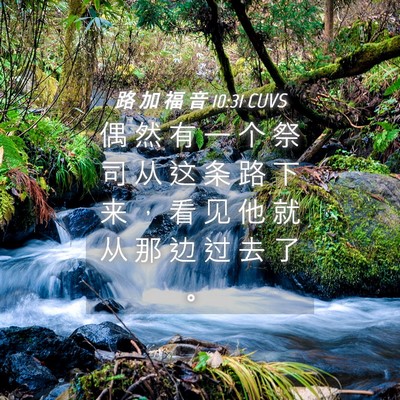Picture 04 - 路 加 福 音 10:31 CUVS - 偶 然 有 一 个 祭 司 从 这 条 路 下 - Bible Verse Picture