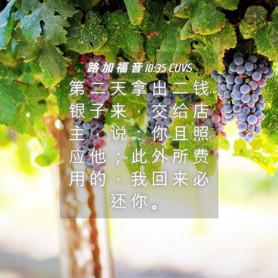 Picture 04 - 路 加 福 音 10:35 CUVS - 第 二 天 拿 出 二 钱 银 子 来 ， 交 - Bible Verse Picture