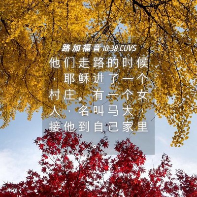 Picture 04 - 路 加 福 音 10:38 CUVS - 他 们 走 路 的 时 候 ， 耶 稣 进 了 - Bible Verse Picture