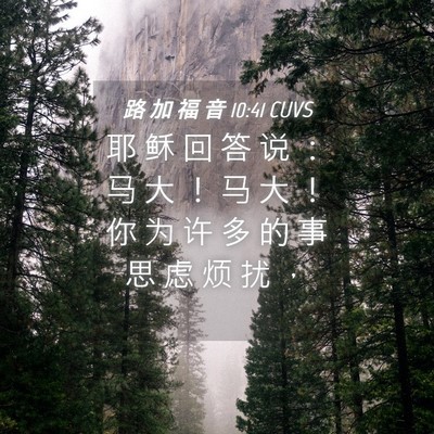 Picture 04 - 路 加 福 音 10:41 CUVS - 耶 稣 回 答 说 ： 马 大 ！ 马 大 ！ - Bible Verse Picture