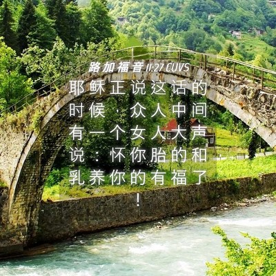 Picture 04 - 路 加 福 音 11:27 CUVS - 耶 稣 正 说 这 话 的 时 候 ， 众 人 - Bible Verse Picture