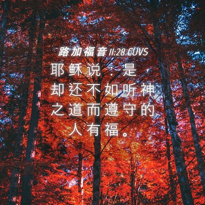 Picture 04 - 路 加 福 音 11:28 CUVS - 耶 稣 说 ： 是 ， 却 还 不 如 听 神 - Bible Verse Picture