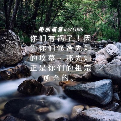 Picture 04 - 路 加 福 音 11:47 CUVS - 你 们 有 祸 了 ！ 因 为 你 们 修 造 - Bible Verse Picture