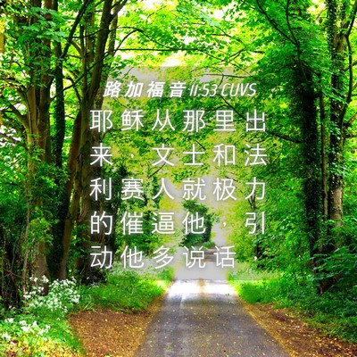 Picture 04 - 路 加 福 音 11:53 CUVS - 耶 稣 从 那 里 出 来 ， 文 士 和 法 - Bible Verse Picture