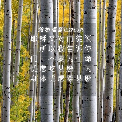 Picture 04 - 路 加 福 音 12:22 CUVS - 耶 稣 又 对 门 徒 说 ： 所 以 我 告 - Bible Verse Picture