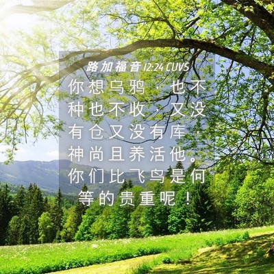Picture 04 - 路 加 福 音 12:24 CUVS - 你 想 乌 鸦 ， 也 不 种 也 不 收 ， - Bible Verse Picture