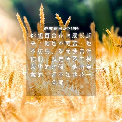 Picture 04 - 路 加 福 音 12:27 CUVS - 你 想 百 合 花 怎 麽 长 起 来 ； 他 - Bible Verse Picture