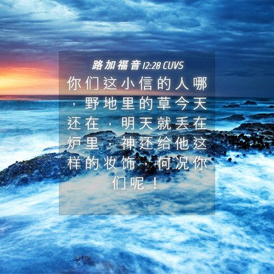 Picture 04 - 路 加 福 音 12:28 CUVS - 你 们 这 小 信 的 人 哪 ， 野 地 里 - Bible Verse Picture