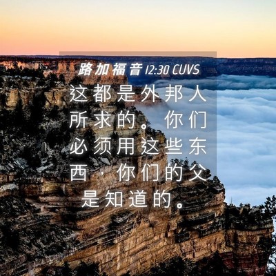 Picture 04 - 路 加 福 音 12:30 CUVS - 这 都 是 外 邦 人 所 求 的 。 你 们 - Bible Verse Picture